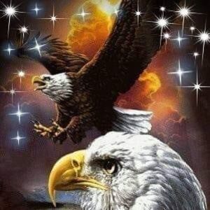 Meet your Posher, Tim